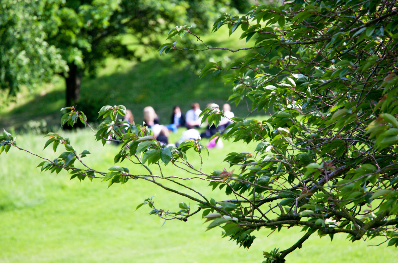 Riverside Gardens Ilkley